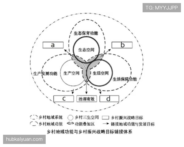 罗德里的战术依赖性解析:体系支撑与独立贡献的边界 罗德里的战术依赖性解析:体系支撑与独立贡献的边界